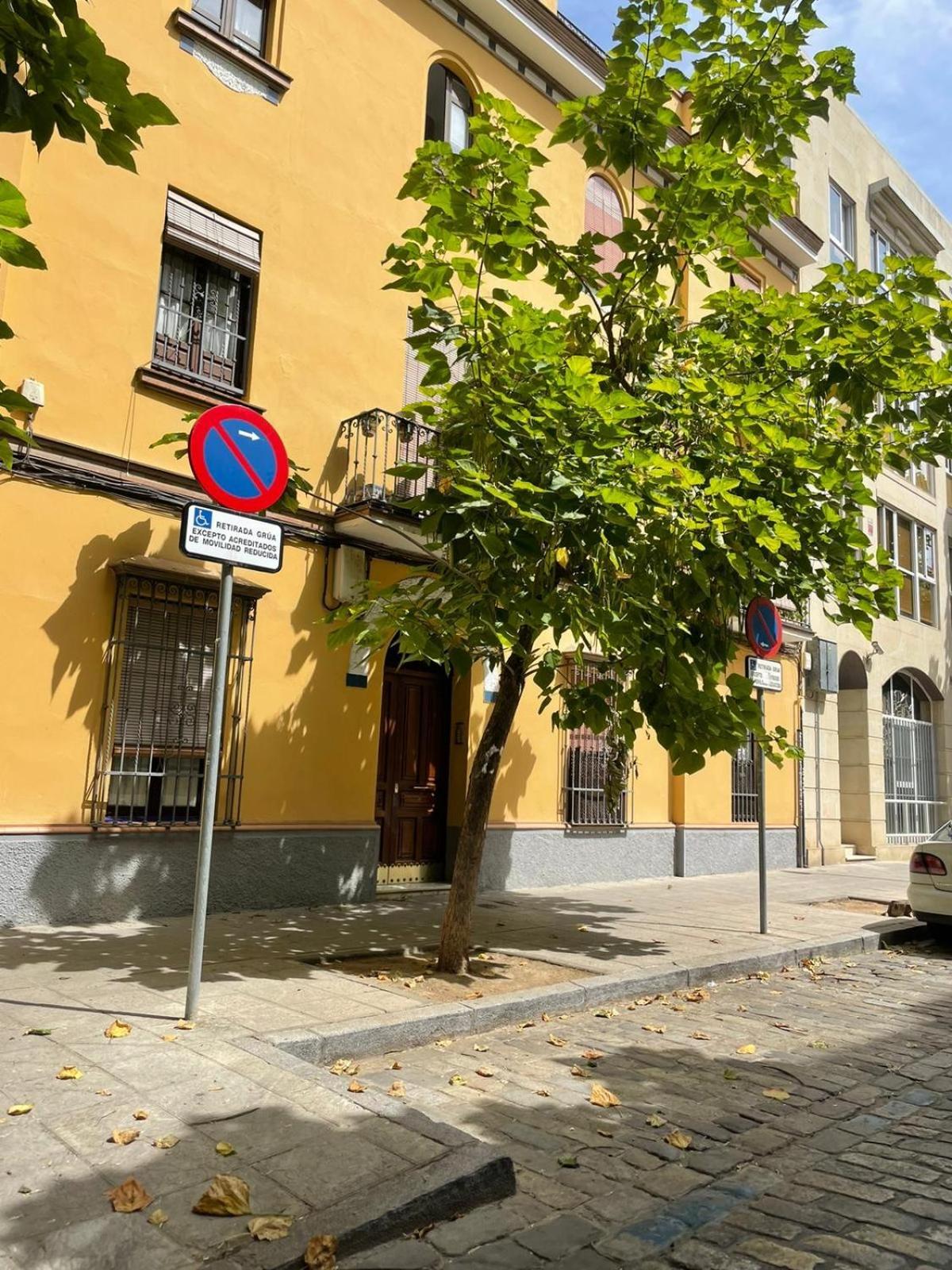 Apartamento Entero En Los Jardines De Murillo Σεβίλλη Εξωτερικό φωτογραφία